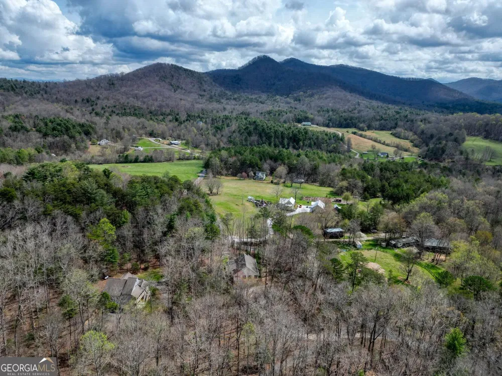 339 Henderson RD Young Harris, GA 30582
