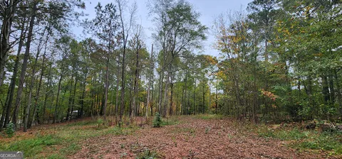 18 E Mourning Dove CT