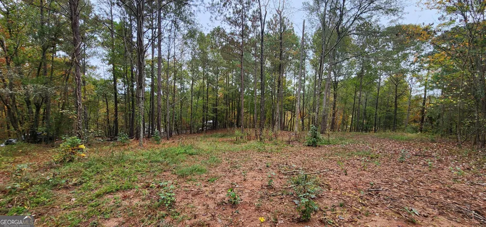 18 E Mourning Dove CT Monticello, GA 31064
