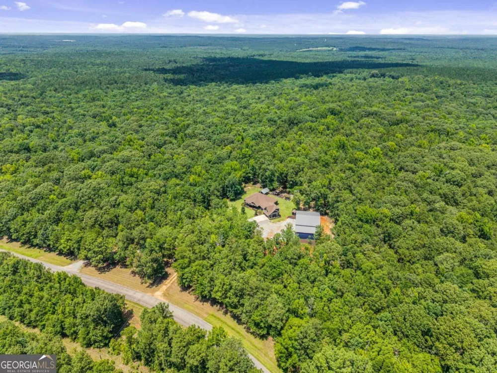 4835 J R Sims RD Irwinton, GA 31042