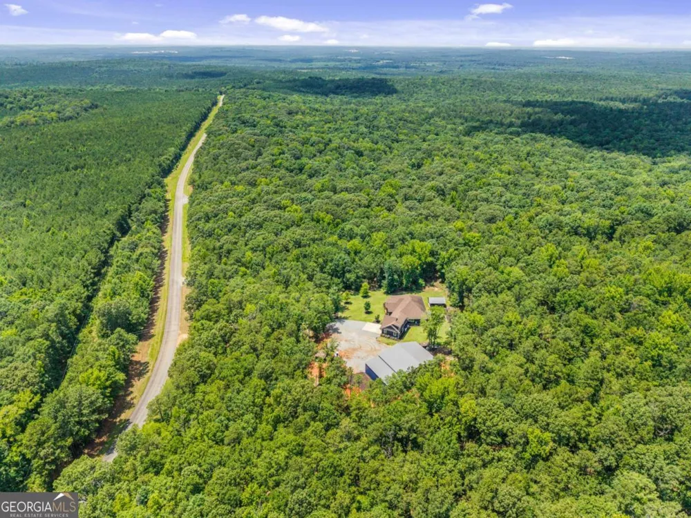 4835 J R Sims RD Irwinton, GA 31042