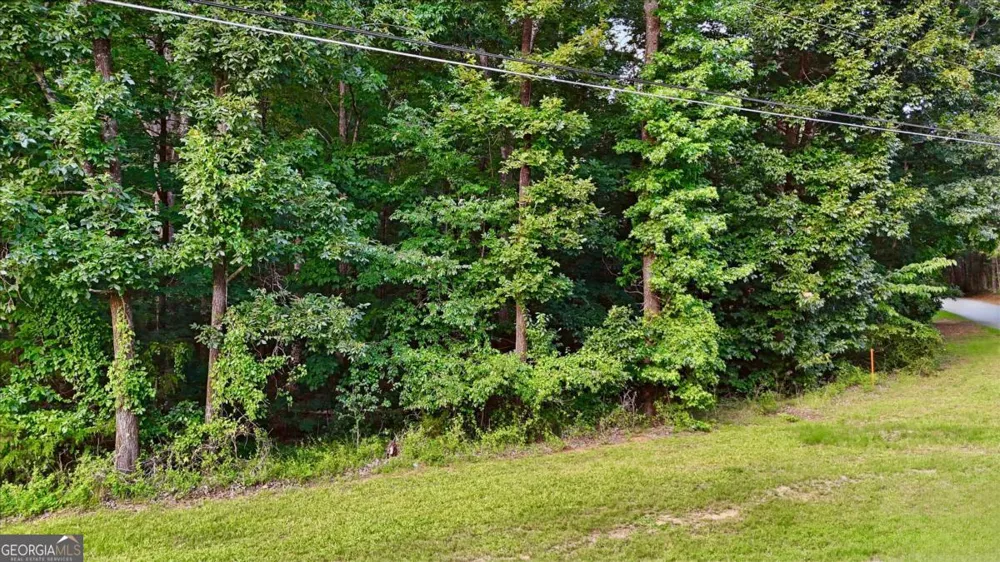 50 Sims RD Covington, GA 30016