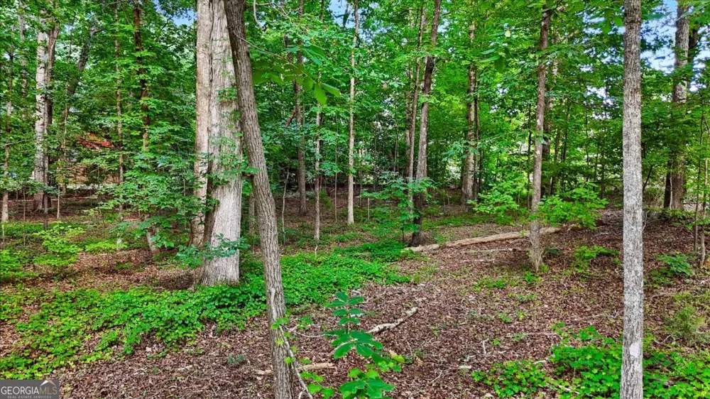 50 Sims RD Covington, GA 30016