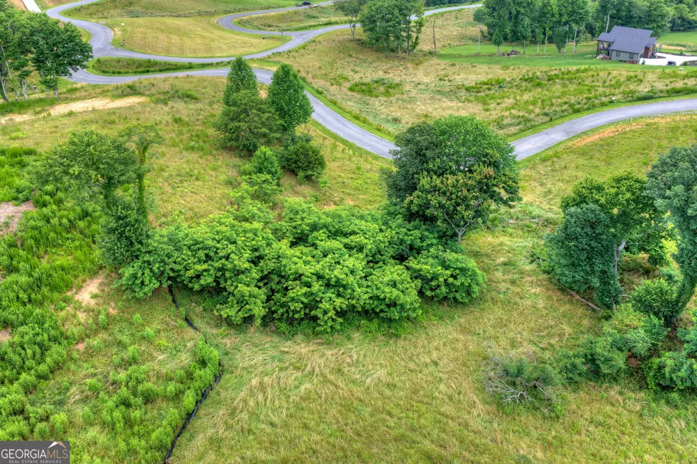 LOT 42 Big Valley OVLK Morganton, GA 30560