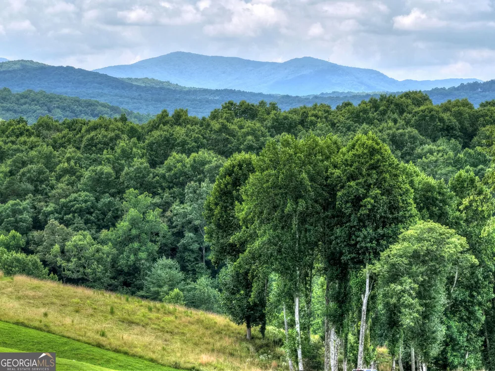 LOT 42 Big Valley OVLK Morganton, GA 30560