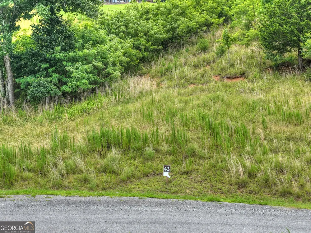 LOT 42 Big Valley OVLK Morganton, GA 30560