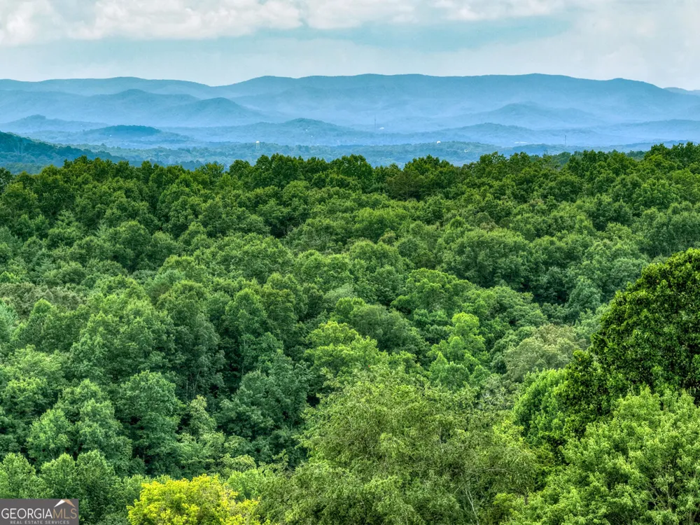 LOT 42 Big Valley OVLK Morganton, GA 30560