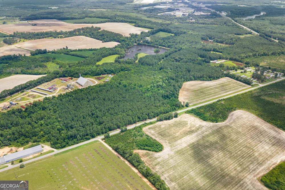 0 Highway 46 Register, GA 30452