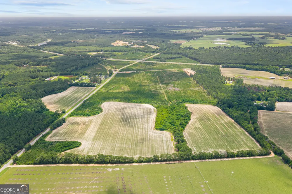 0 Highway 46 Register, GA 30452