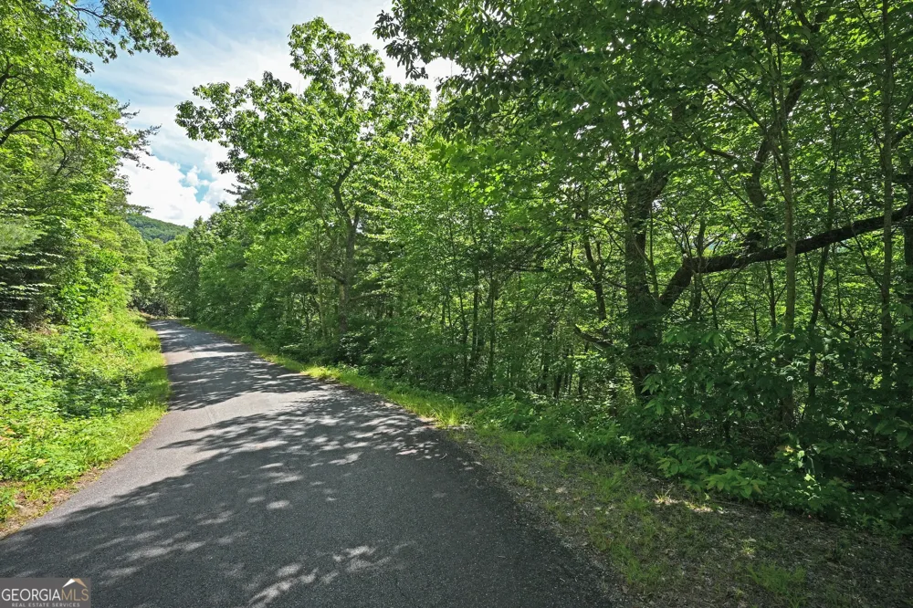 LOT 3 The RDGS Hiawassee, GA 30546