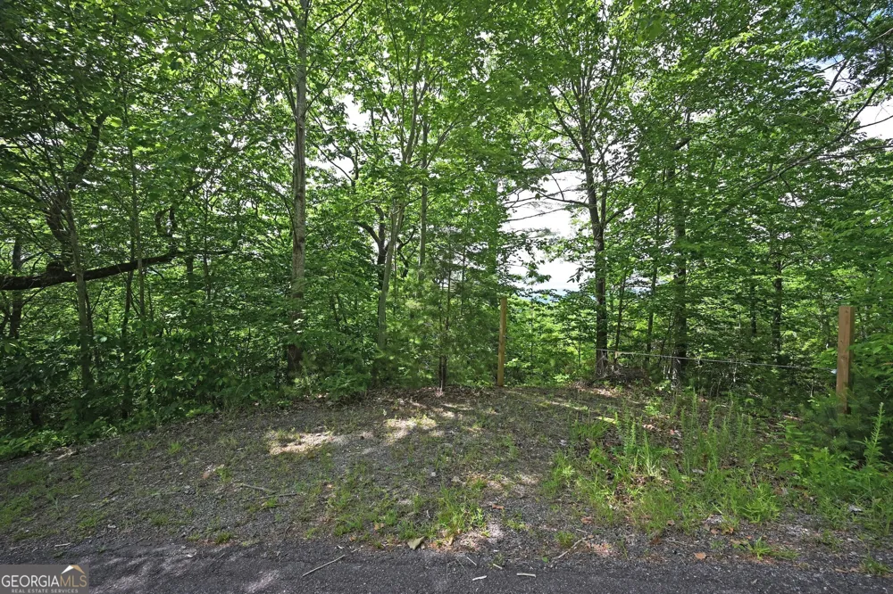 LOT 3 The RDGS Hiawassee, GA 30546