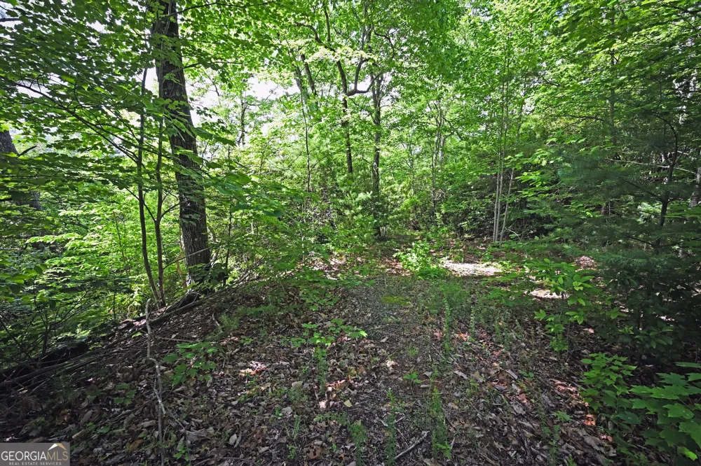 LOT 3 The RDGS Hiawassee, GA 30546