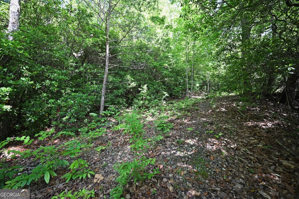 LOT 3 The RDGS Hiawassee, GA 30546