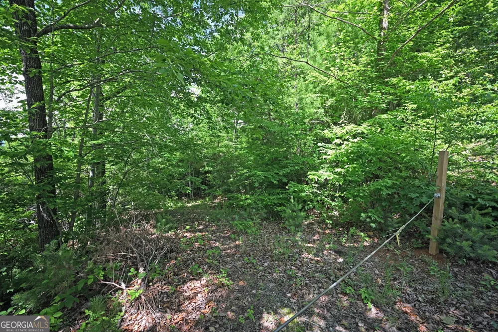 LOT 3 The RDGS Hiawassee, GA 30546