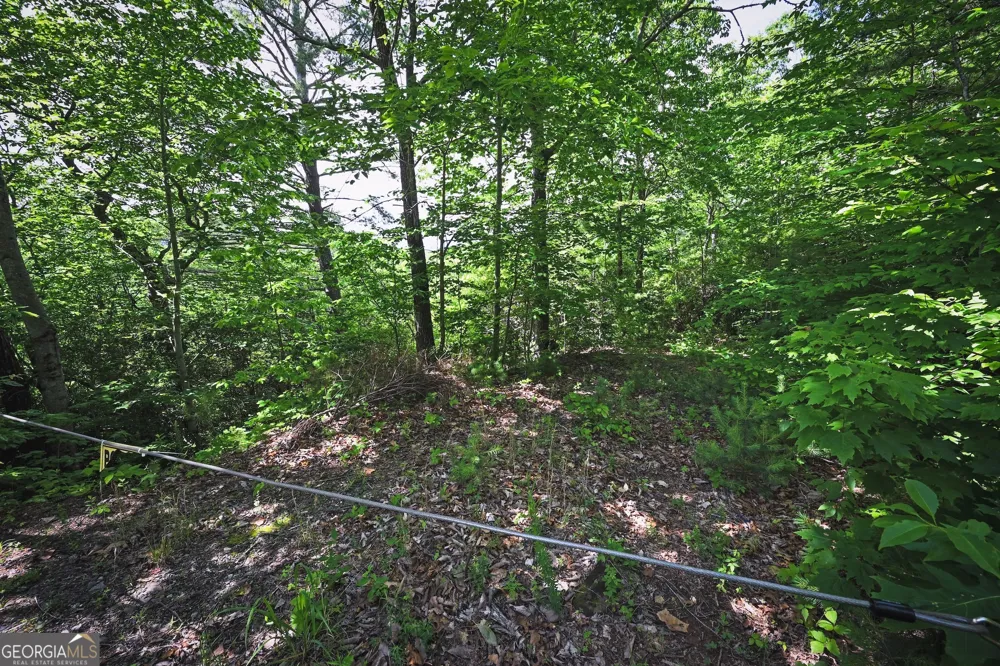 LOT 3 The RDGS Hiawassee, GA 30546
