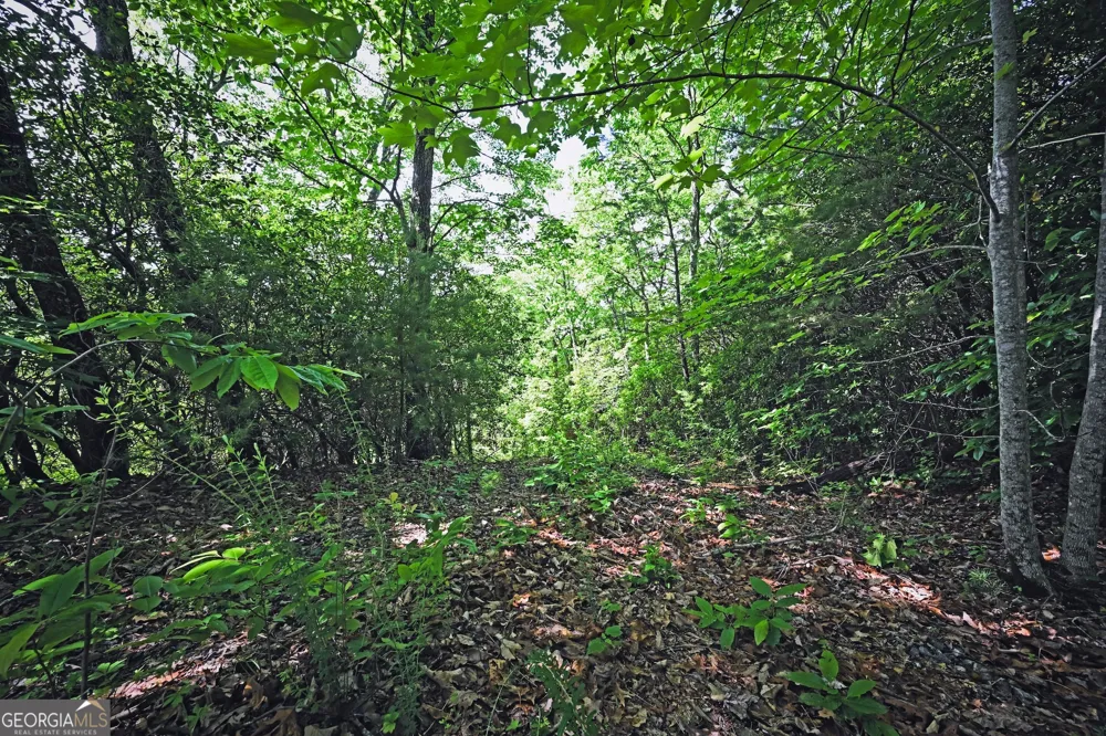 LOT 3 The RDGS Hiawassee, GA 30546
