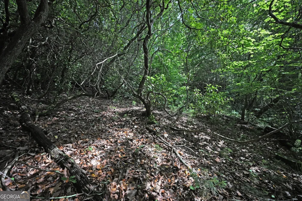 LOT 3 The RDGS Hiawassee, GA 30546