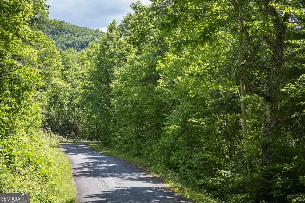 LOT 3 The RDGS Hiawassee, GA 30546