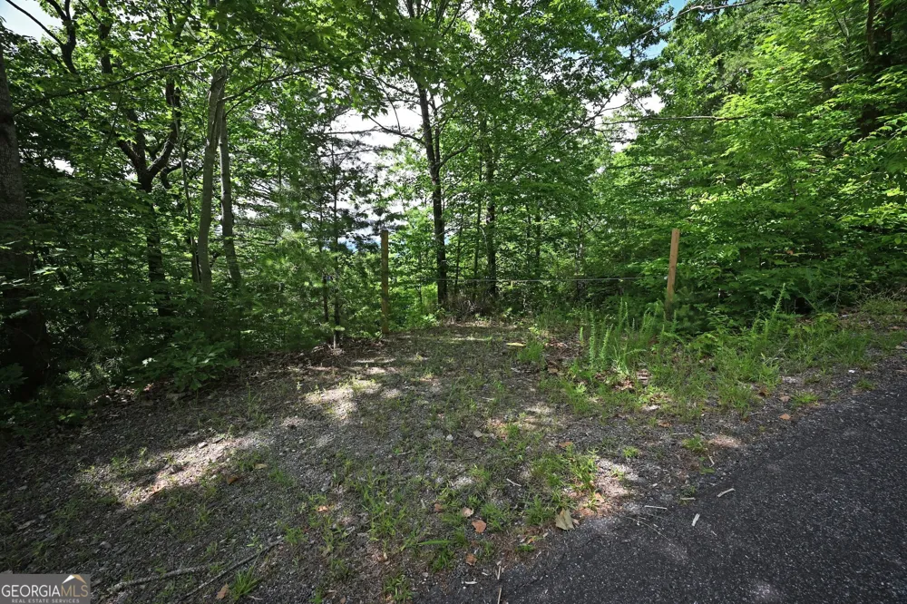 LOT 3 The RDGS Hiawassee, GA 30546