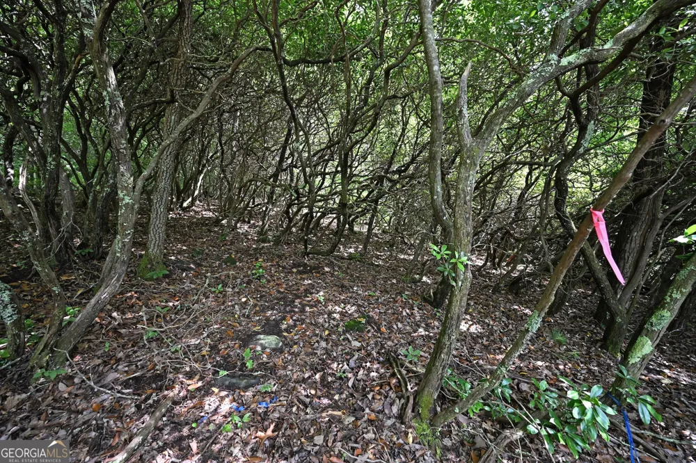 LOT 3 The RDGS Hiawassee, GA 30546