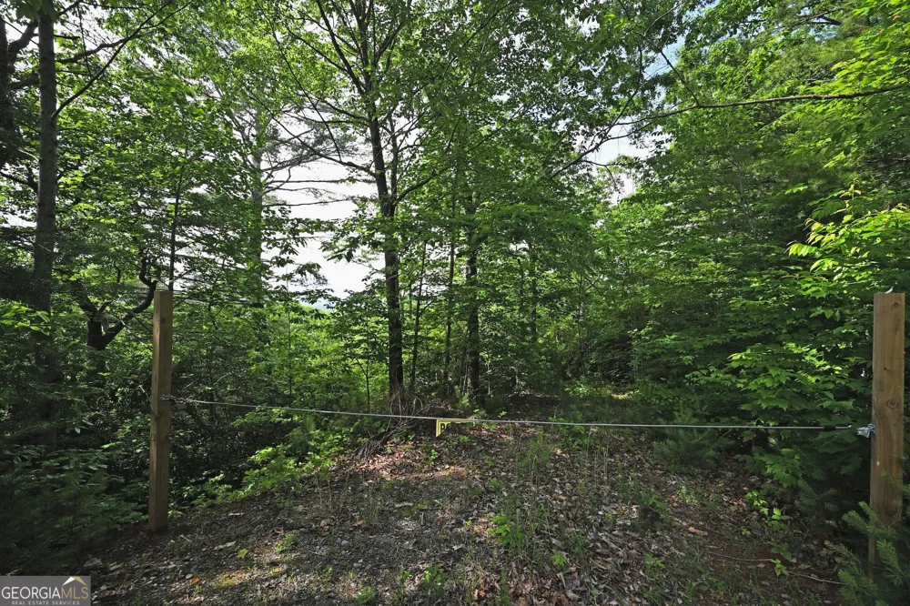 LOT 3 The RDGS Hiawassee, GA 30546