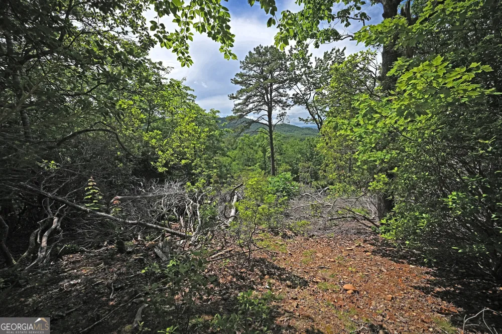 LOT 3 The RDGS Hiawassee, GA 30546