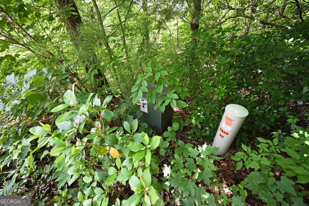 LOT 3 The RDGS Hiawassee, GA 30546