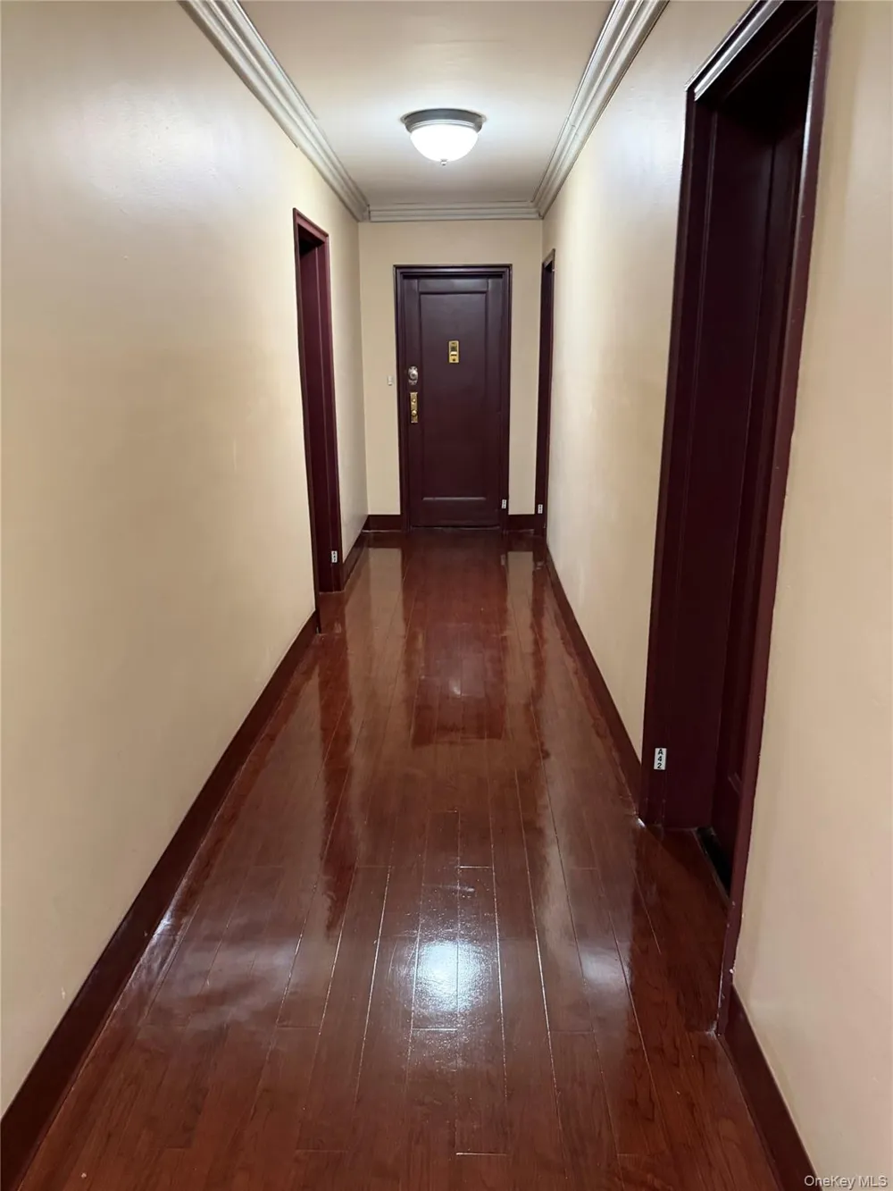 8719 204th Street #A41 Hollis, NY 11423