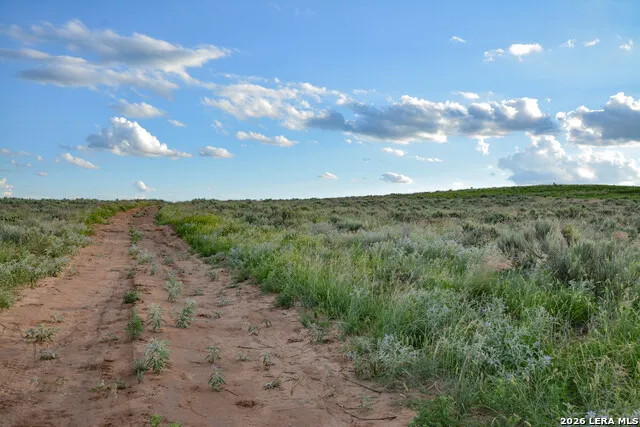 TBD CR 3 Shamrock, TX 79079
