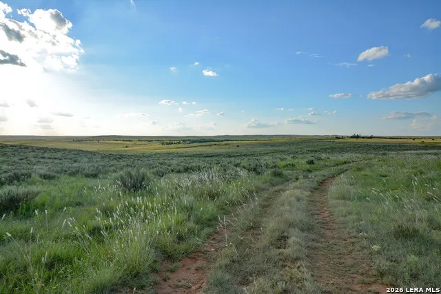 TBD CR 3 Shamrock, TX 79079