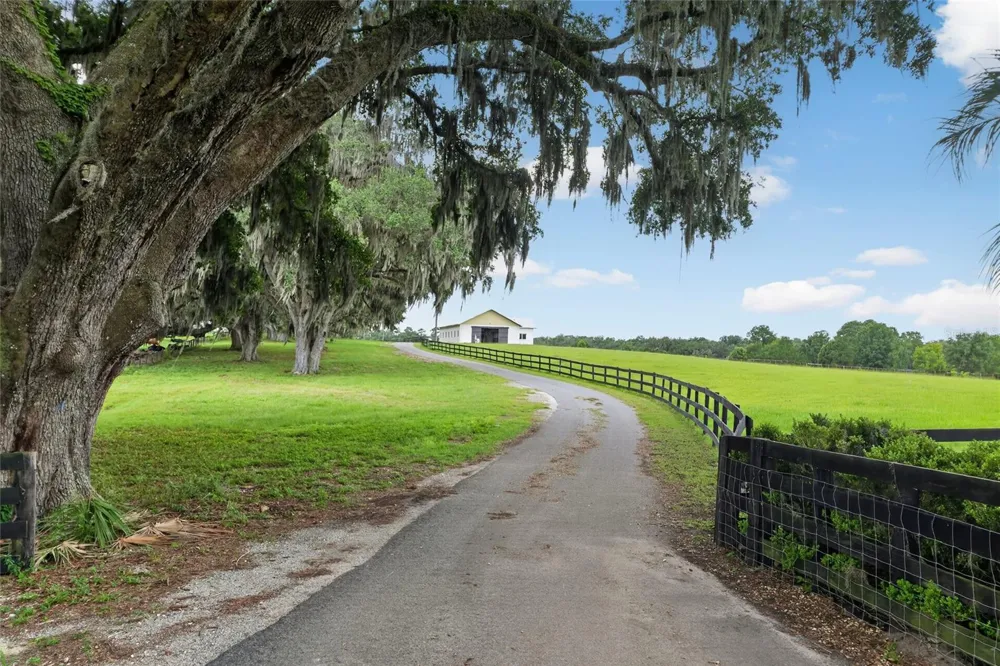 8544 NW 160TH AVENUE Morriston, FL 32668