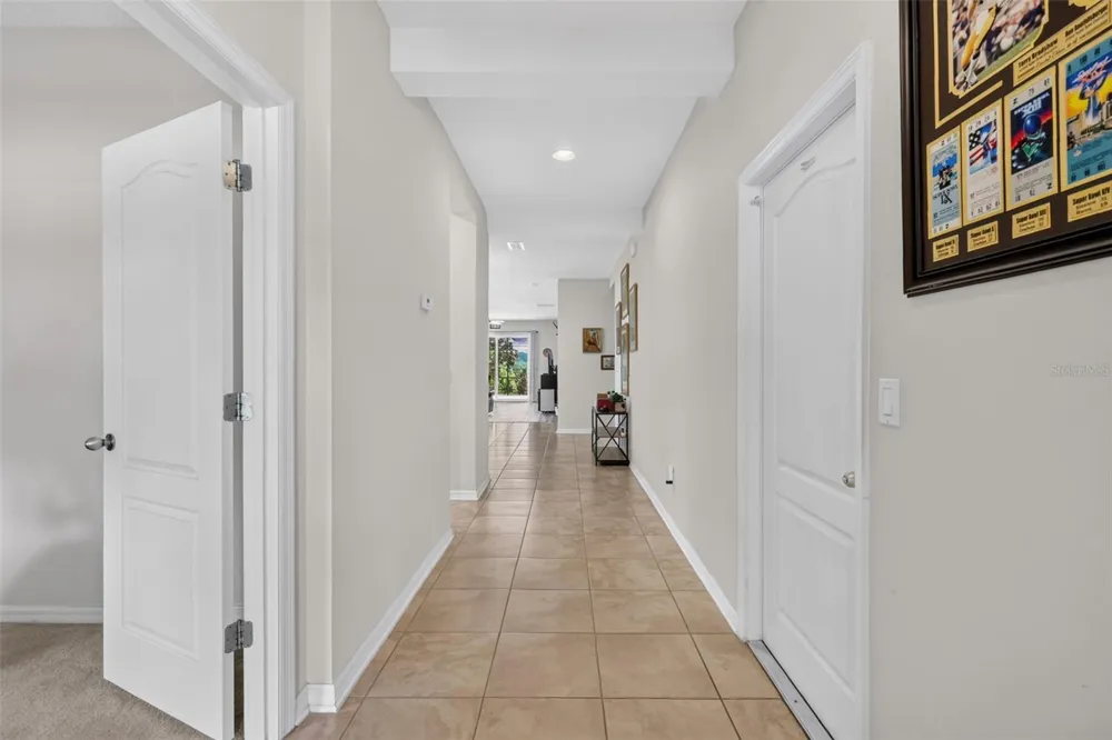 3115 ZANDER DRIVE Grand Island, FL 32735