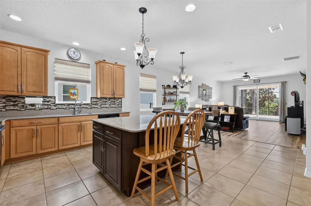 3115 ZANDER DRIVE Grand Island, FL 32735