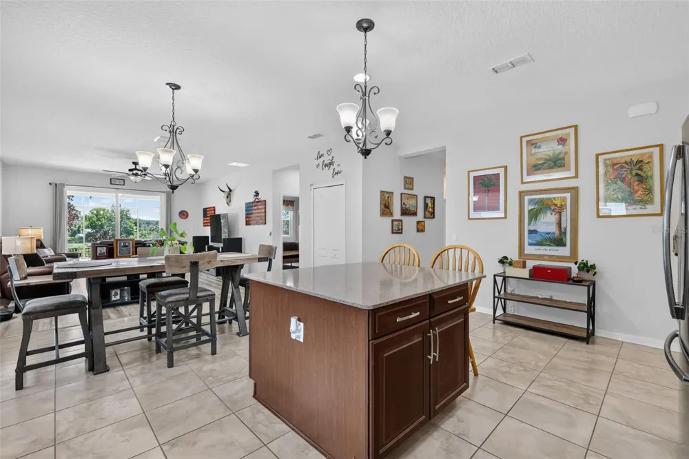 3115 ZANDER DRIVE Grand Island, FL 32735