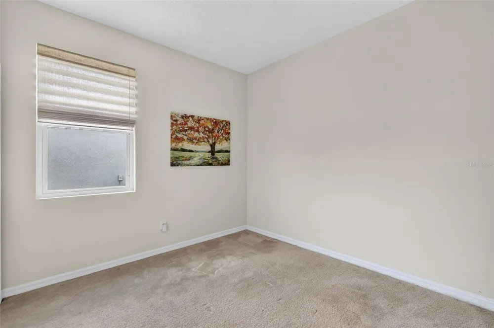 3115 ZANDER DRIVE Grand Island, FL 32735