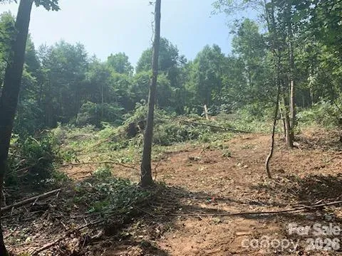 1 Old Vashti Road Taylorsville, NC 28681