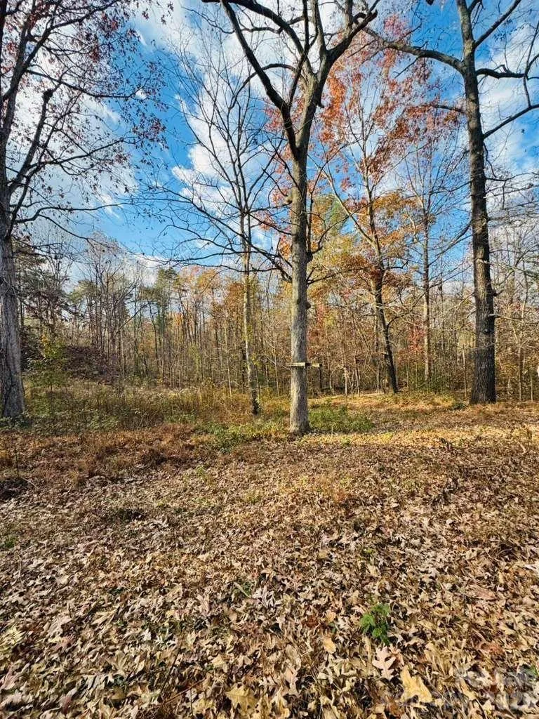 6130 Andria Lane Connelly Springs, NC 28612