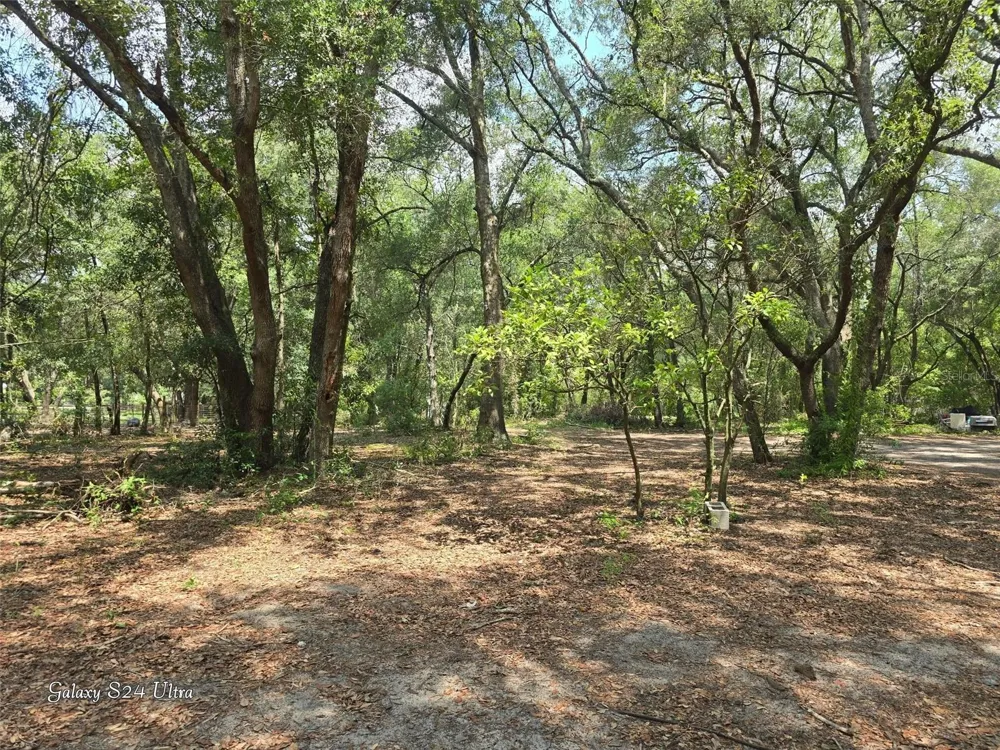 17120 SE 130TH AVENUE Weirsdale, FL 32195