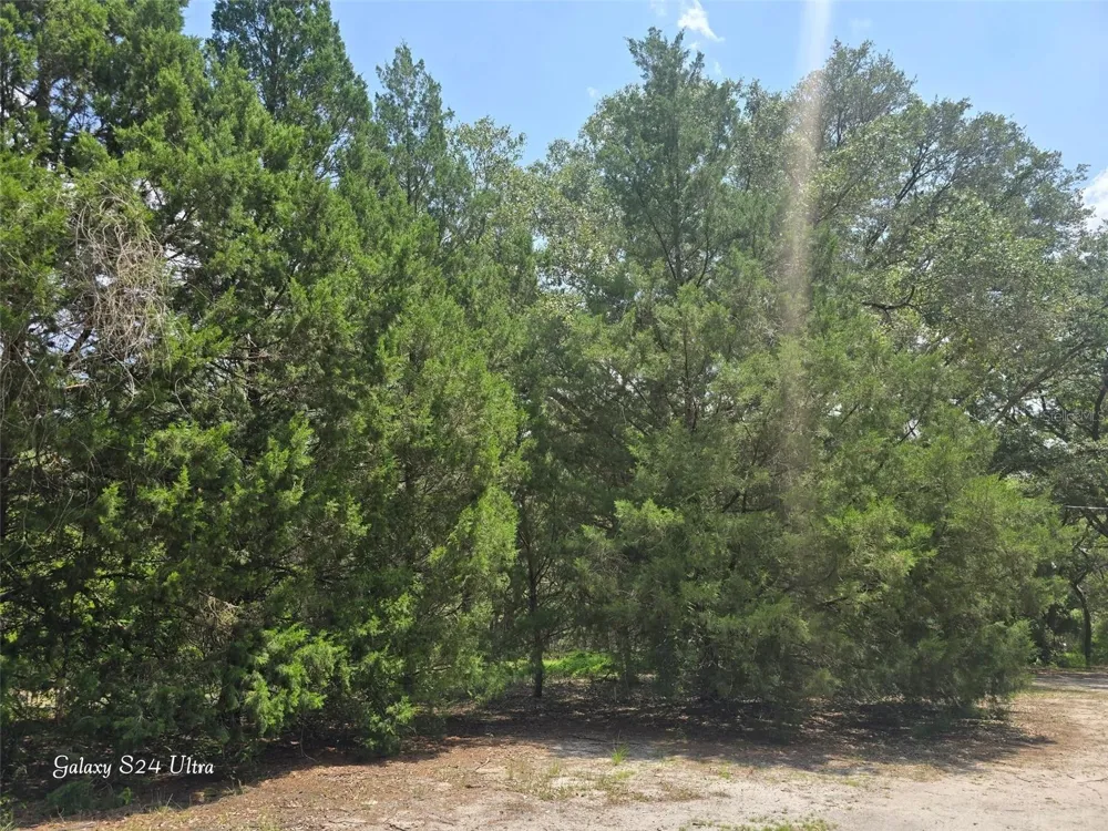 17120 SE 130TH AVENUE Weirsdale, FL 32195