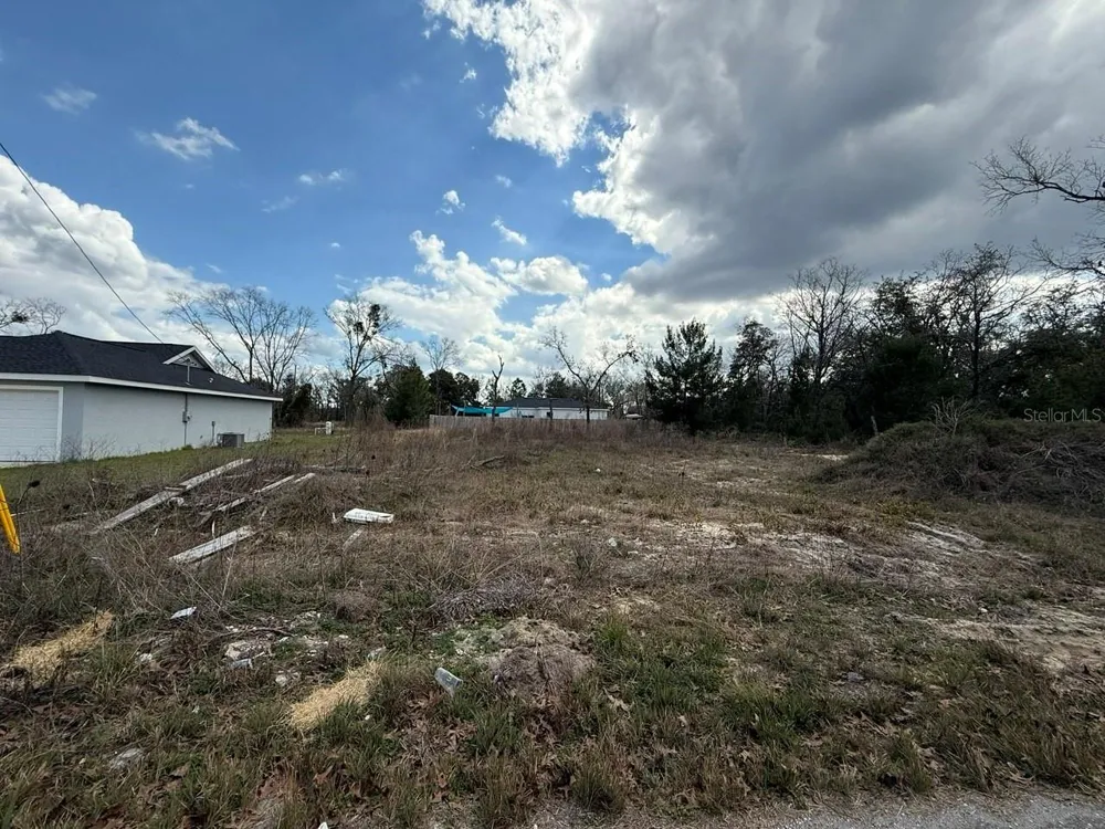 41 FISHER LANE TRACK Ocklawaha, FL 32179