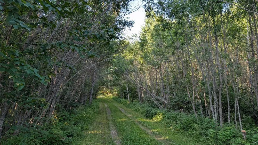 Lot A Hwy. 24 Orr, MN 55771
