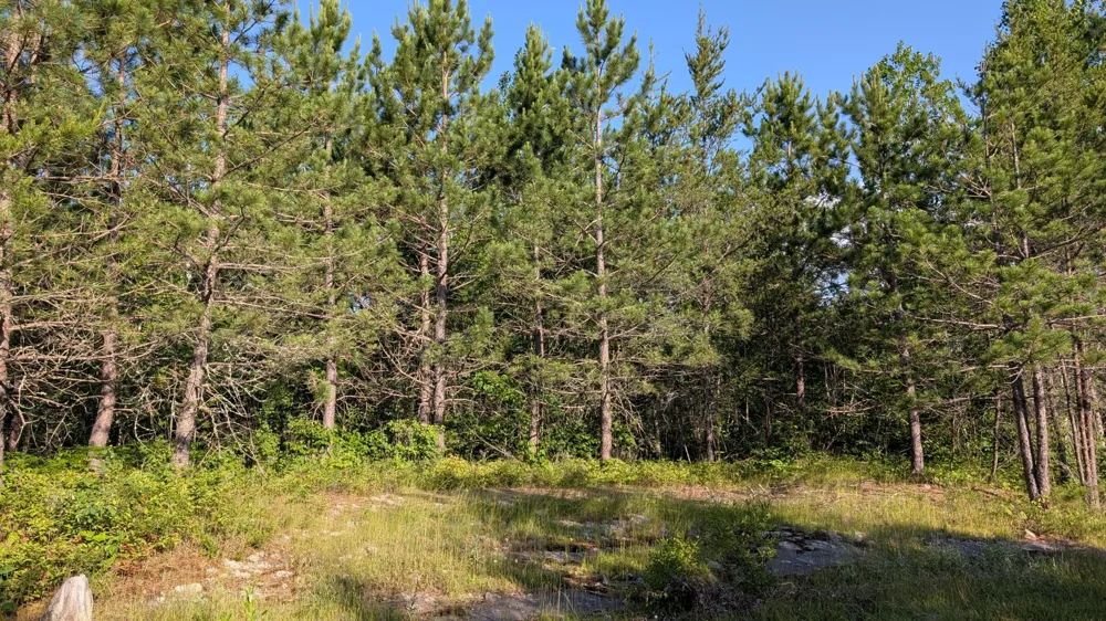 Lot A Hwy. 24 Orr, MN 55771