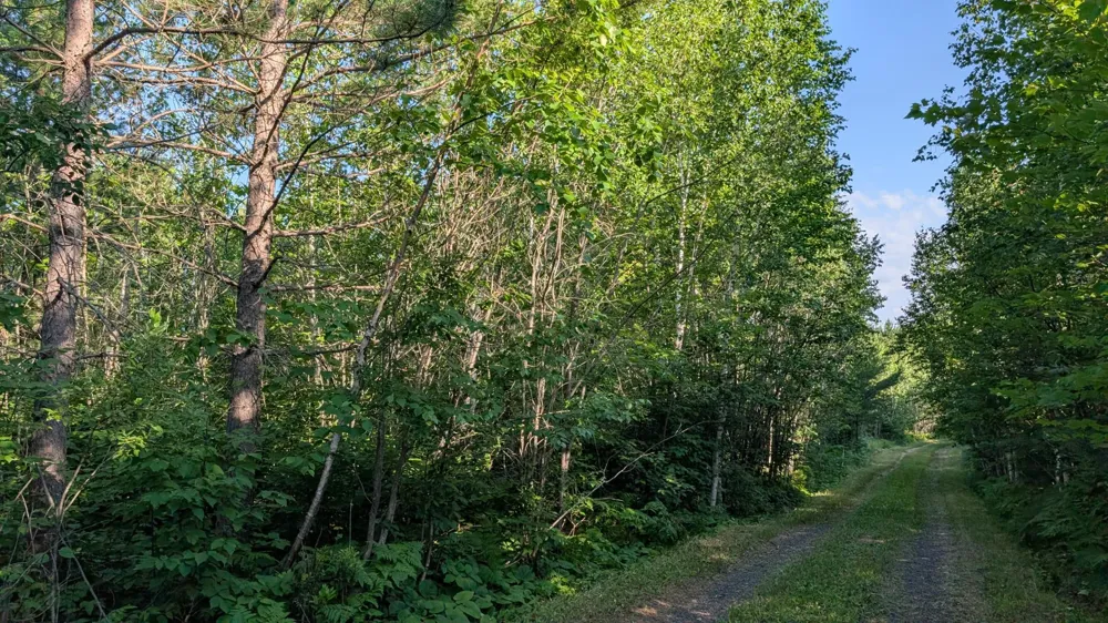 Lot A Hwy. 24 Orr, MN 55771