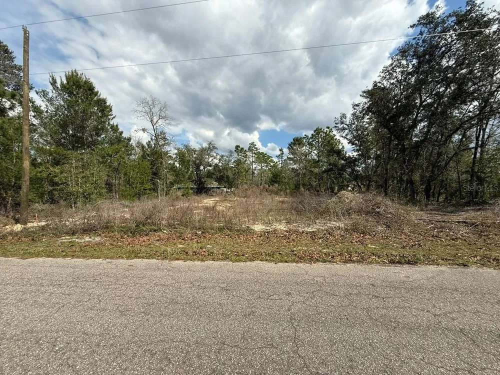 19 FISHER LANE TRACK Ocklawaha, FL 32179