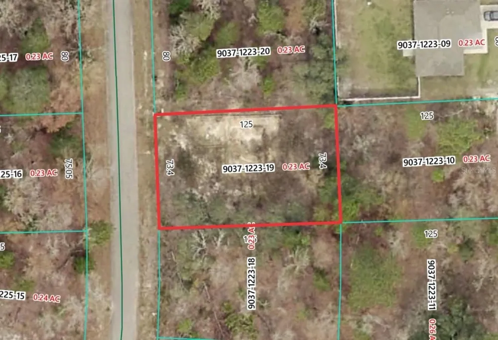 19 FISHER LANE TRACK Ocklawaha, FL 32179