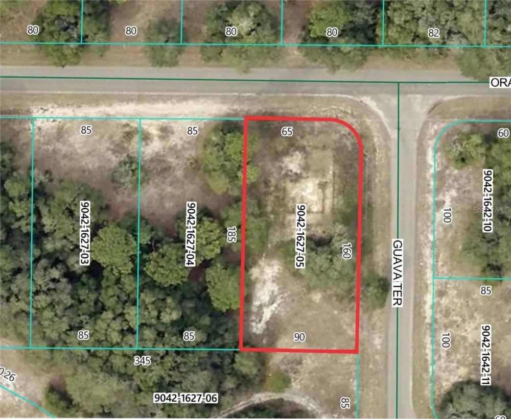 11745 ORANGE ROAD Ocklawaha, FL 32179