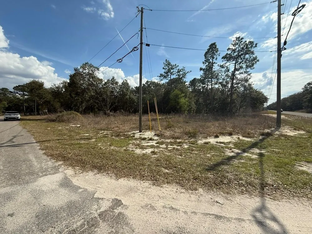 11745 ORANGE ROAD Ocklawaha, FL 32179