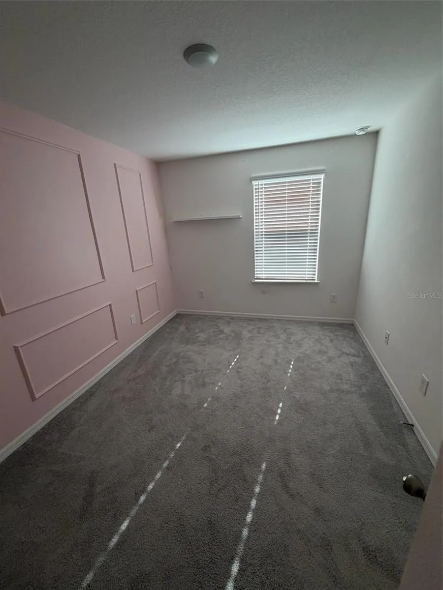 4743 DEER TRACK STREET Tampa, FL 33610