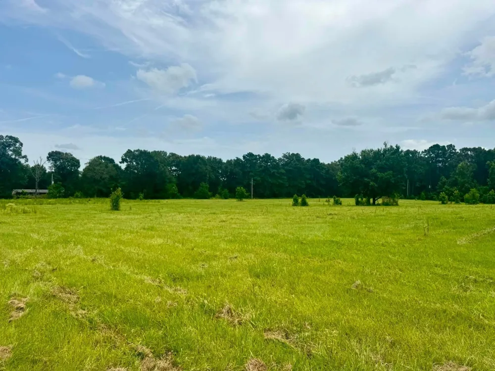 3882 Co Rd 4875 Warren, TX 77664