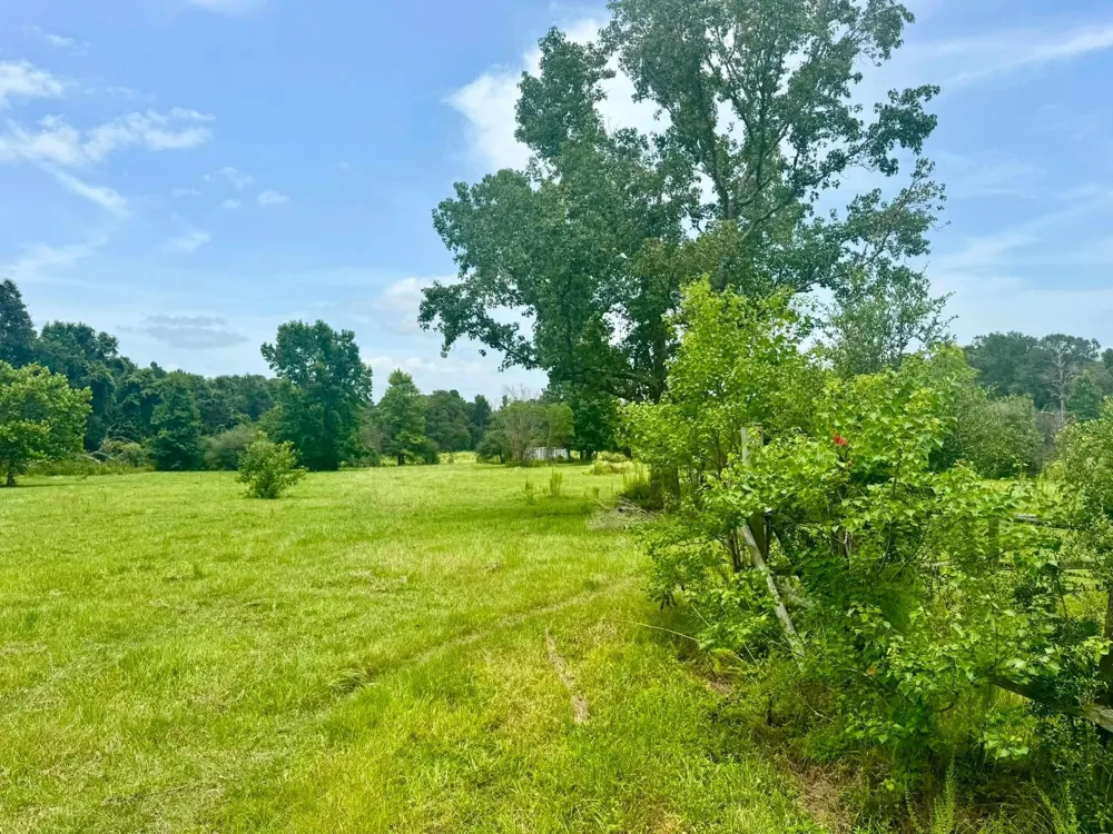 3882 Co Rd 4875 Warren, TX 77664
